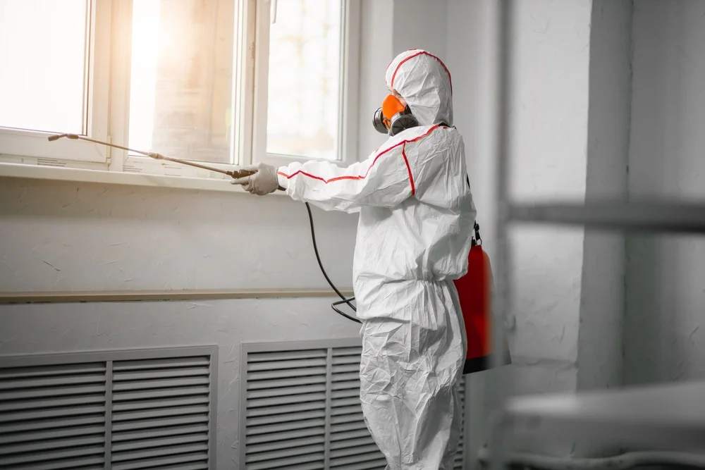 Professional mold remediation services in New Holstein, WI